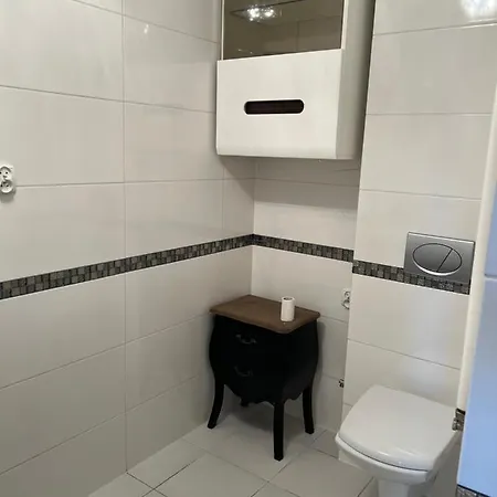 Apartment Pszczynianka Pszczyna
